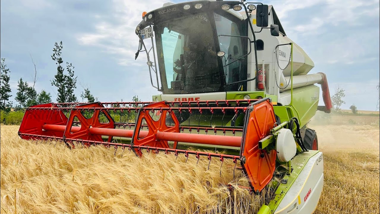 2023 SEZONUNU ARPA BİÇEREK AÇIYORUZ | CLAAS TUCANA 320