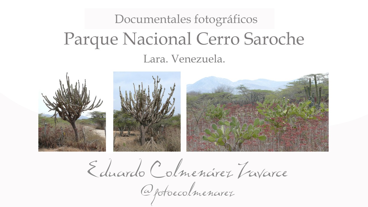 Parque Nacional Cerro Saroche. Documental fotográfico @fotoecolmenarez