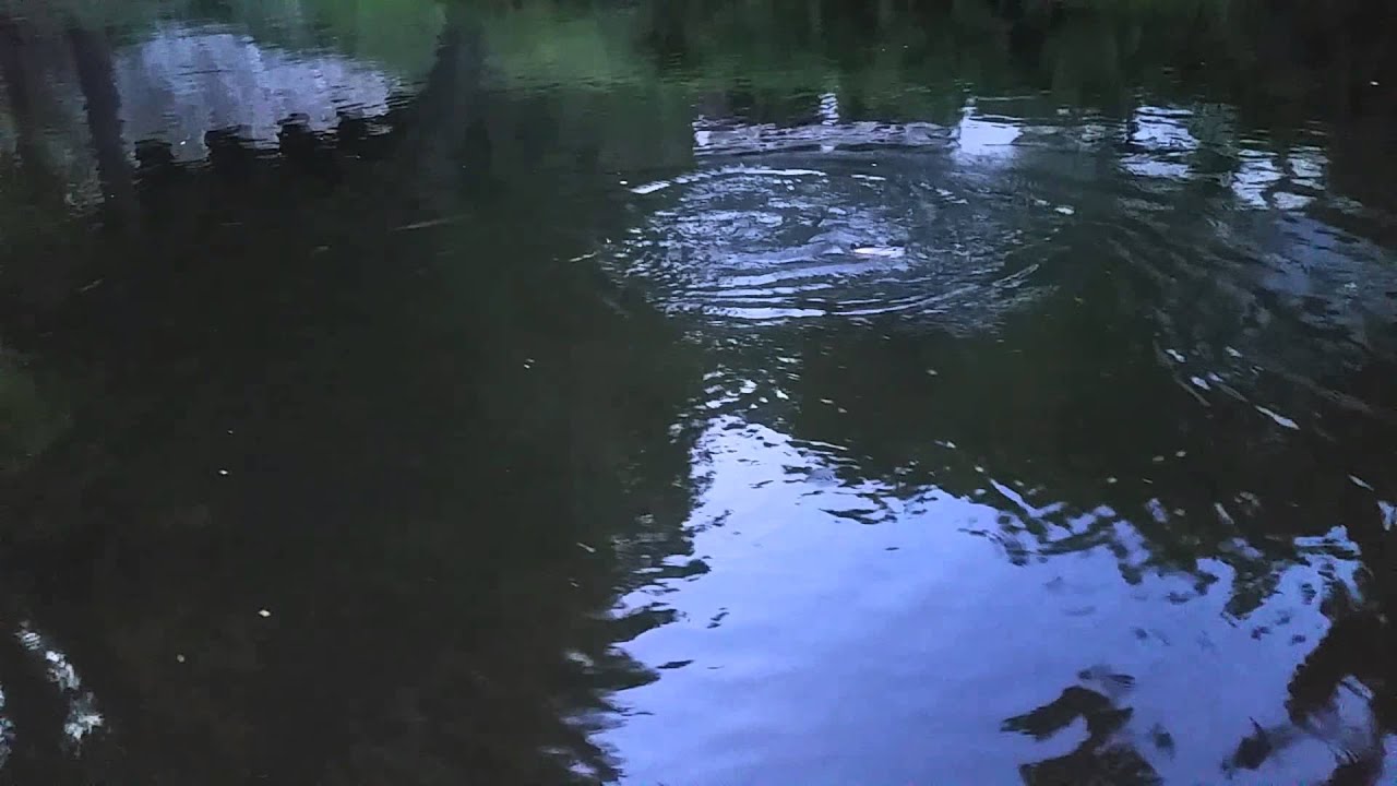 B&oacute;br River 2015