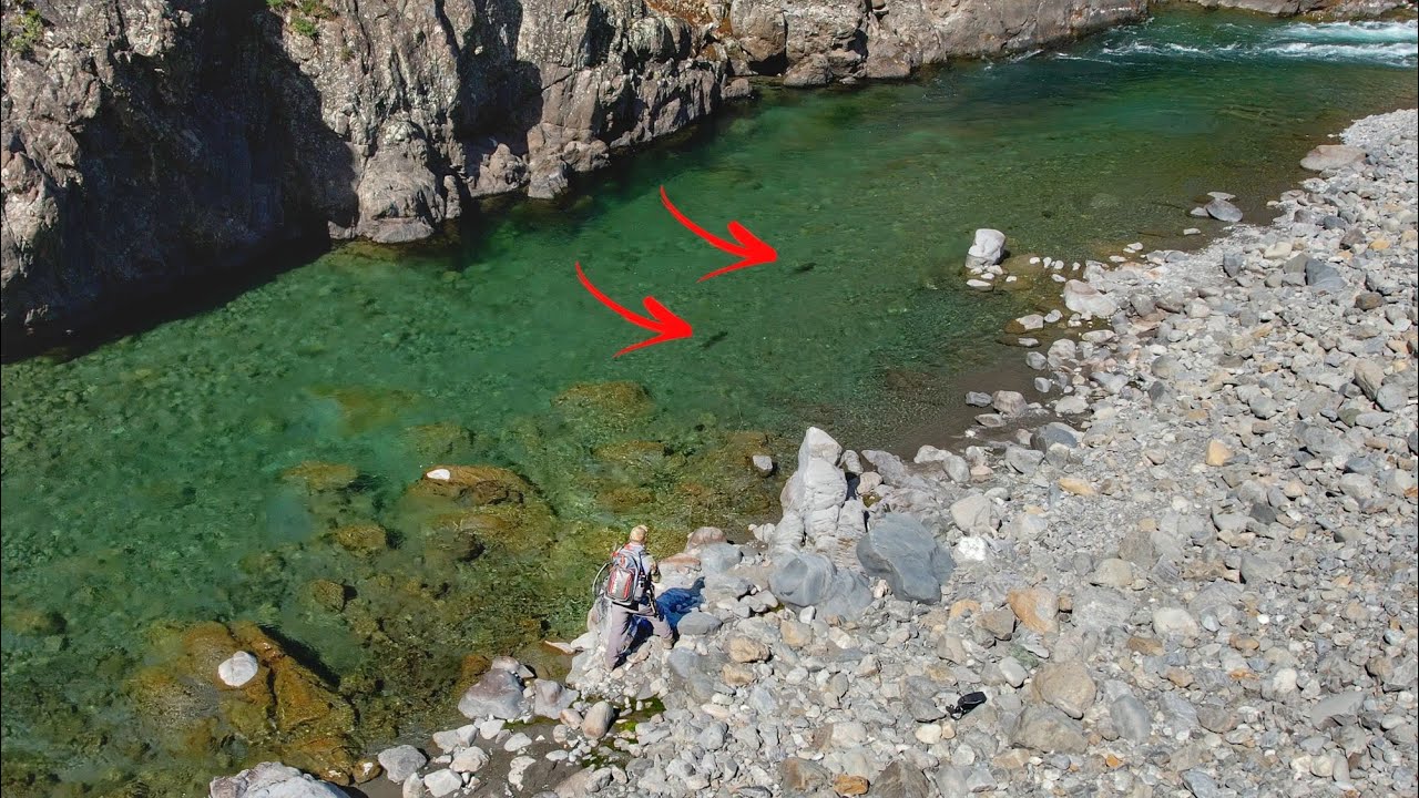 Trout Hunting on one of New Zealand's Giant Trout Rivers.