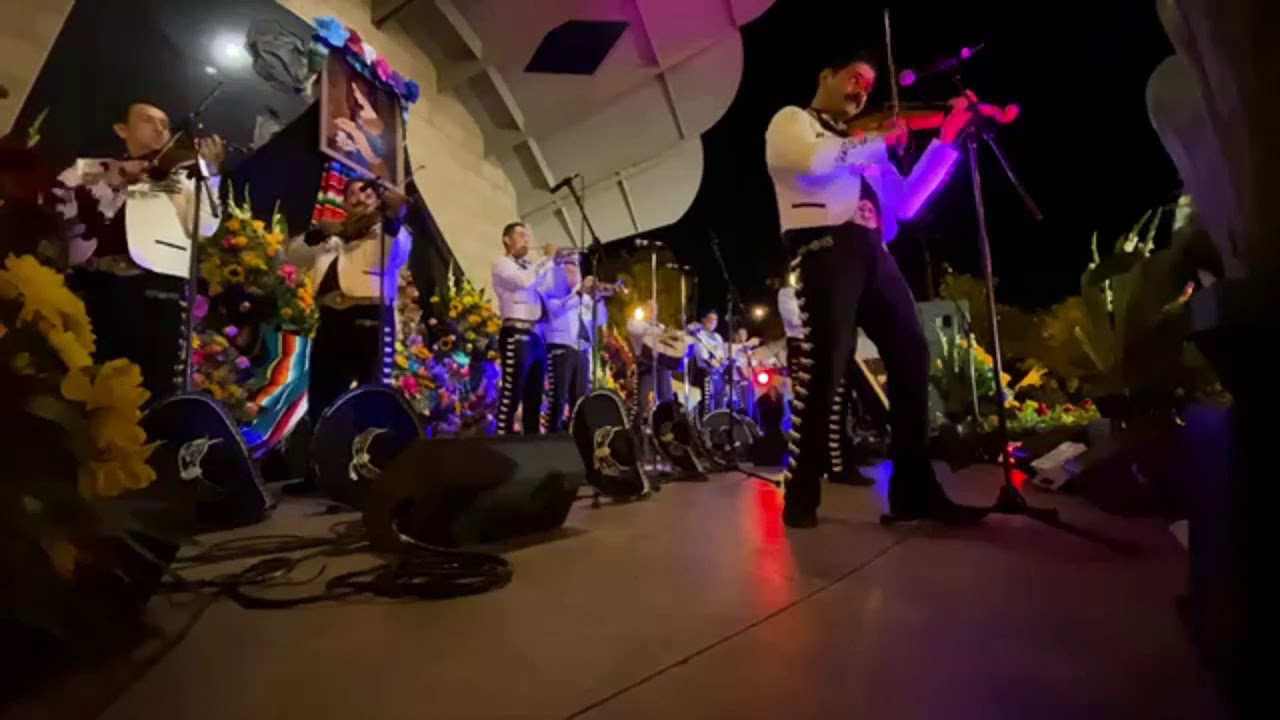 Mariachi Sol de Mexico y Mariachi Vargas
