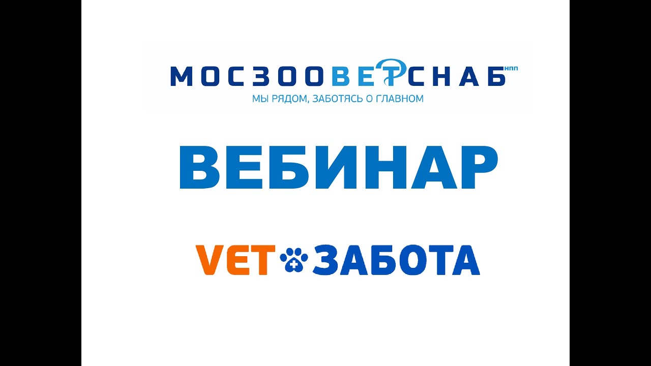 Маркировка  Опыт и практический пример ветклиники и аптеки
