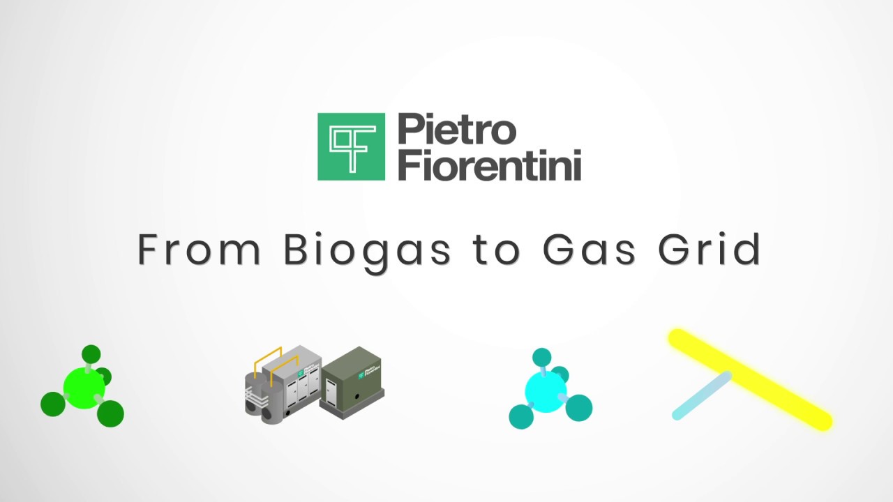 From Biogas to Gas Grid