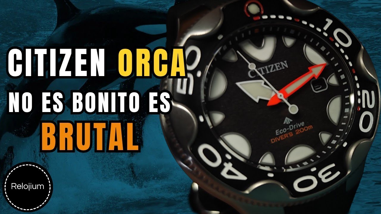 El Citizen Eco-Drive diver al nivel de los dives Suizos – Reseña del Citizen Orca BN0230-04E