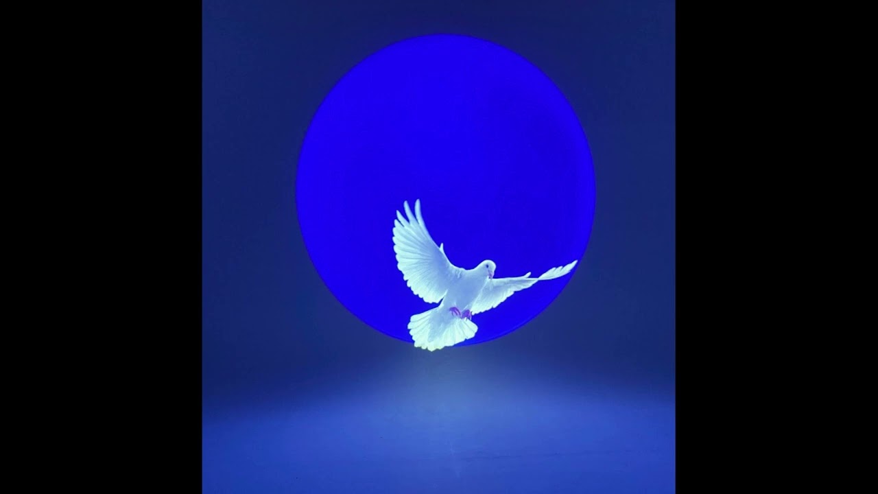 [FREE FOR PROFIT] *house* 2024 Vultures x Kanye West x Ty Dolla Sign Type Beat 