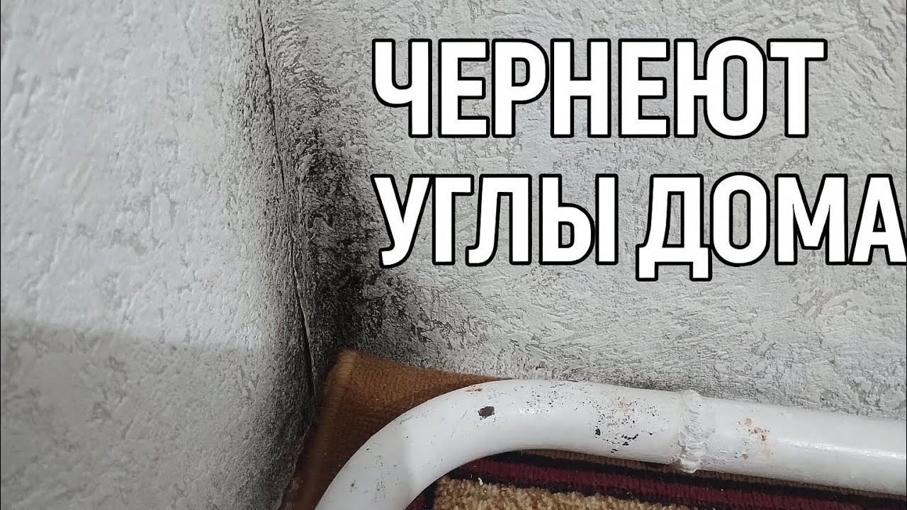 Чернеют углы дома