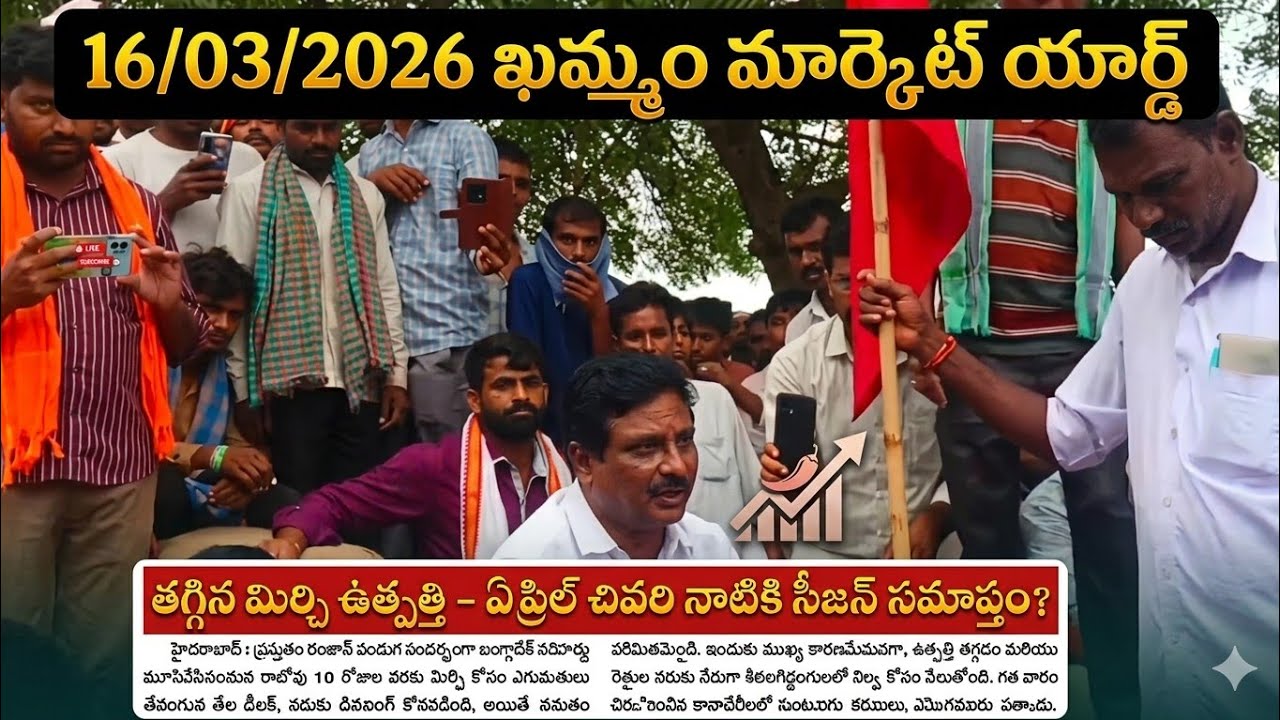 16/03/26 Today khammam market yard prices ఖమ్మం మార్కెట్ యార్డ్ ధరలు #mirchi #chili 
