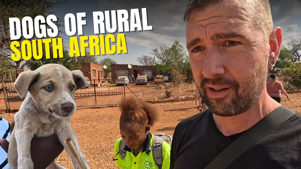 Helping Dogs in the Rural Areas Around Hoedspruit