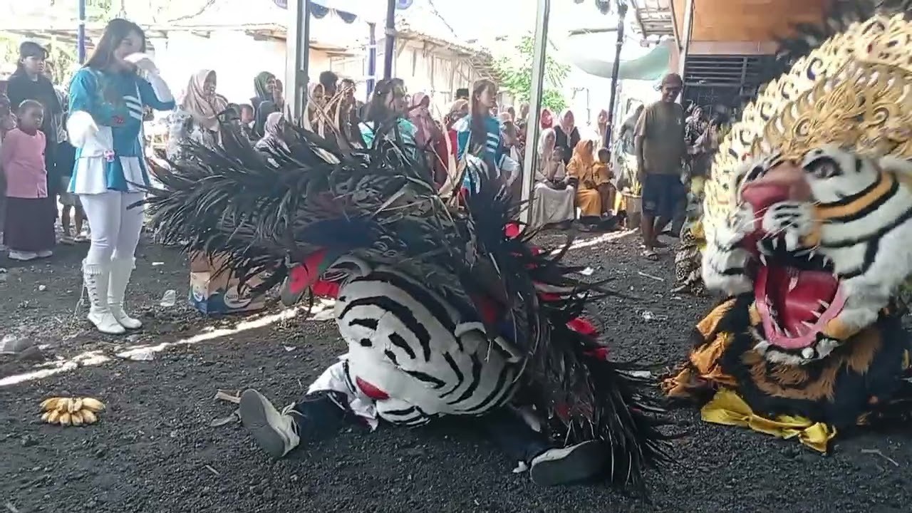 MBABAR barongan ‼️2 mayoret di caplok barongan Maha Dewa live kuripan sayung demak