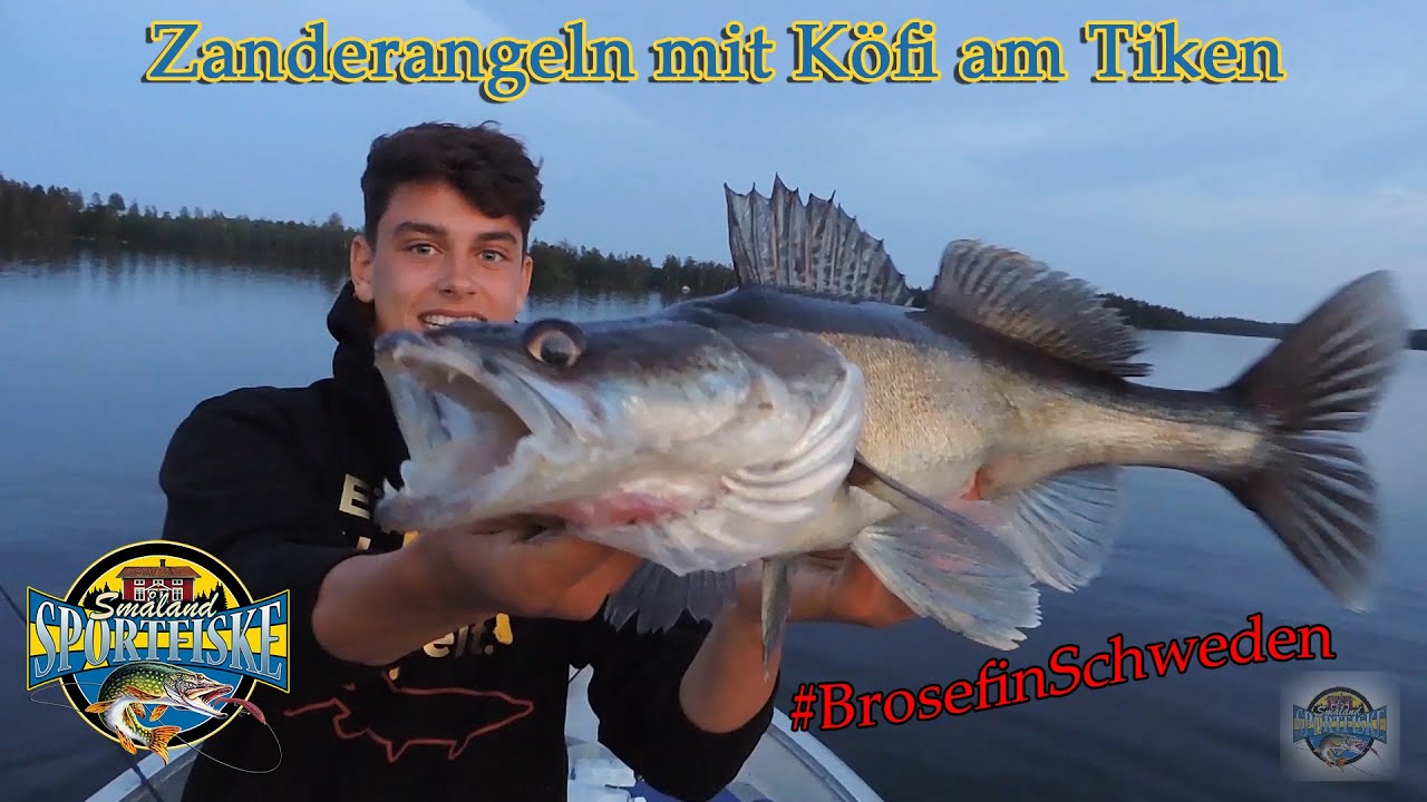 Wird DIESER Zander den Köfi nehmen? I Köfi-Angeln im Tiken I Småland sportfiske