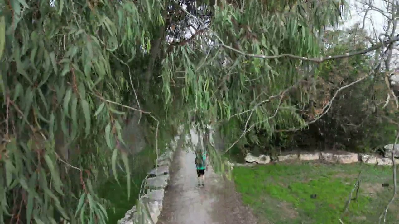 נחל אלכסנדר
