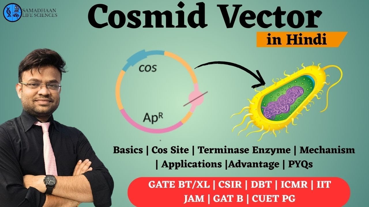 From Cos Site to λ Packaging: Everything About Cosmid Vectors | Complete Explanation with PYQs
