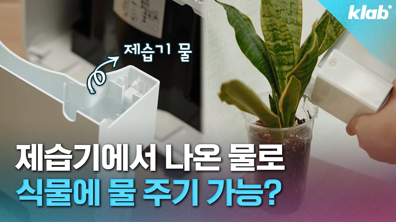 선풍기 괴담에 이은 제습기 괴담(?) 파헤쳐봄 🔍｜크랩