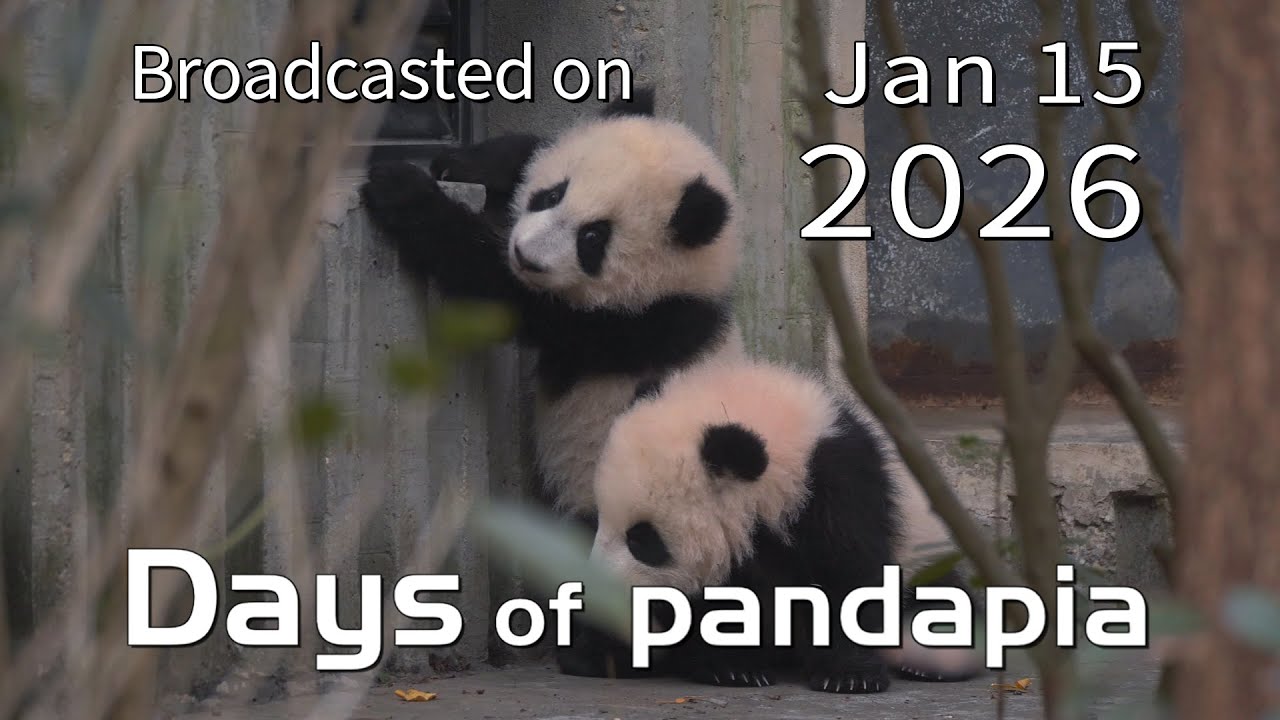 20260115 Broadcast Top Highlights 09