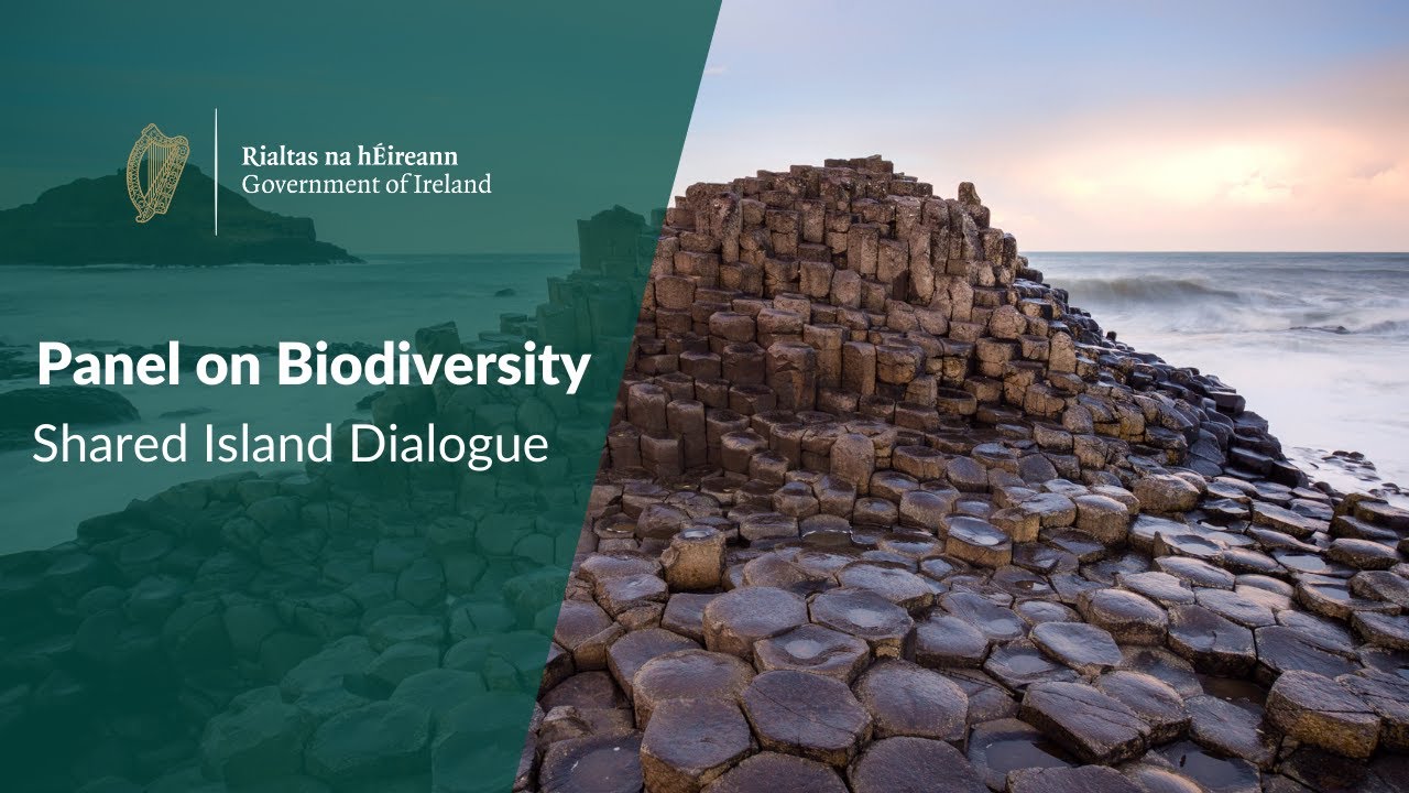 Shared Island Dialogue | 'Addressing the Biodiversity crisis' Panel