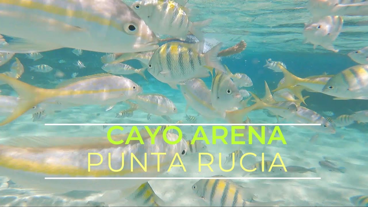 SNORKELING IN CAYO ARENA, PUNTA RUCIA R.D.