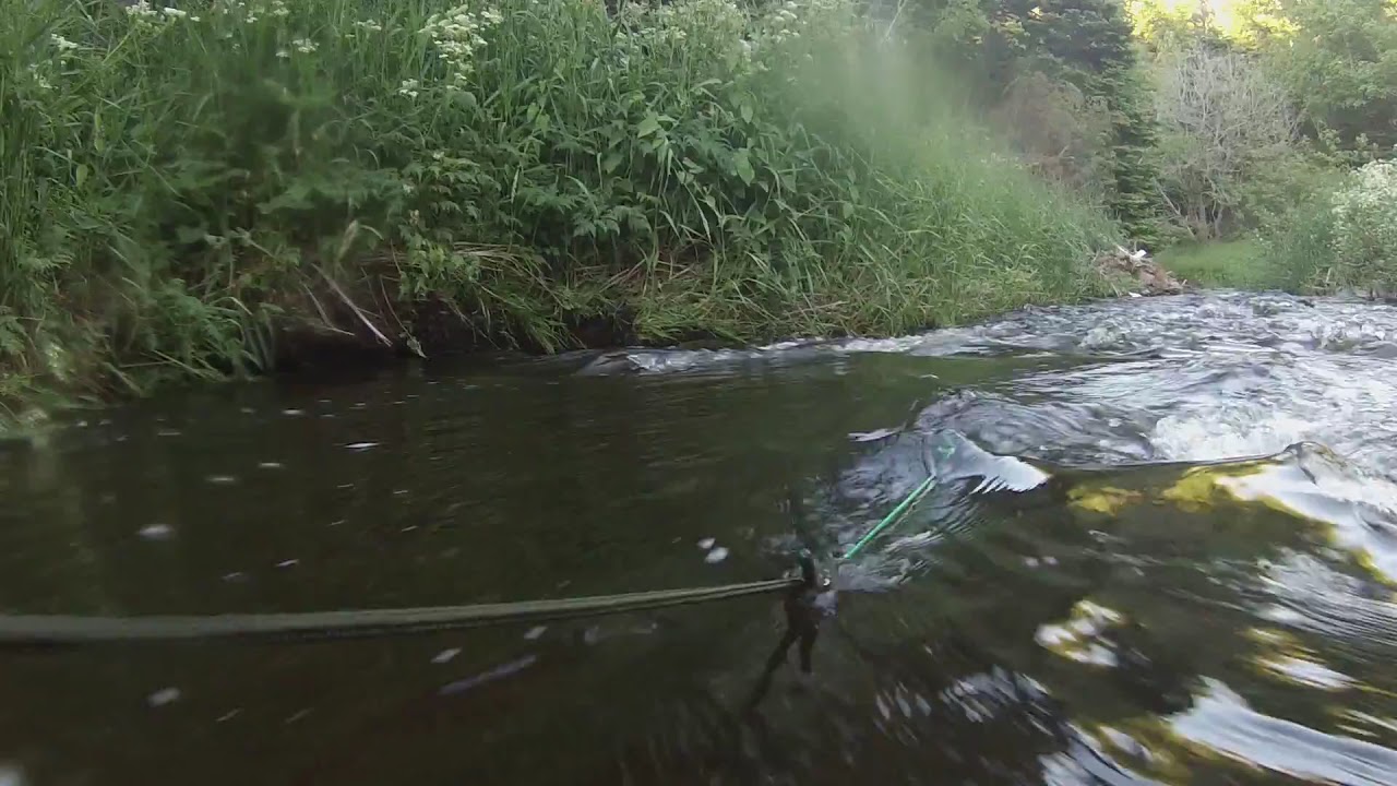 Waterlily Micro Turbine
