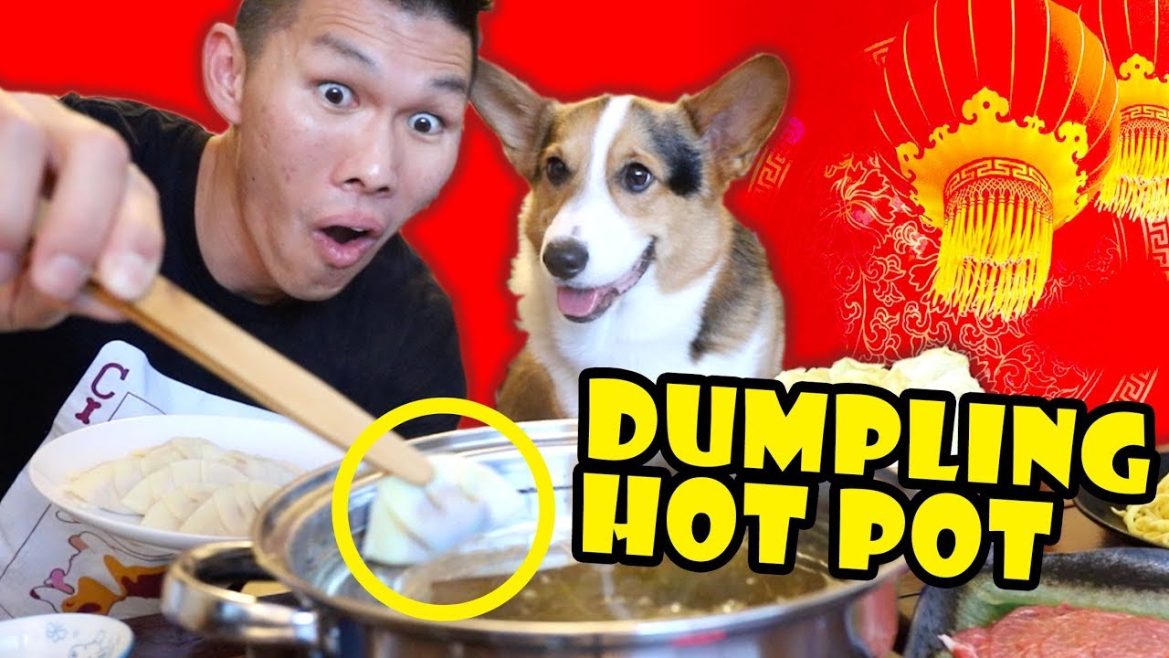 Dumpling Hot Pot for Lunar New Year w/ Corgi || Life After College: Ep. 626