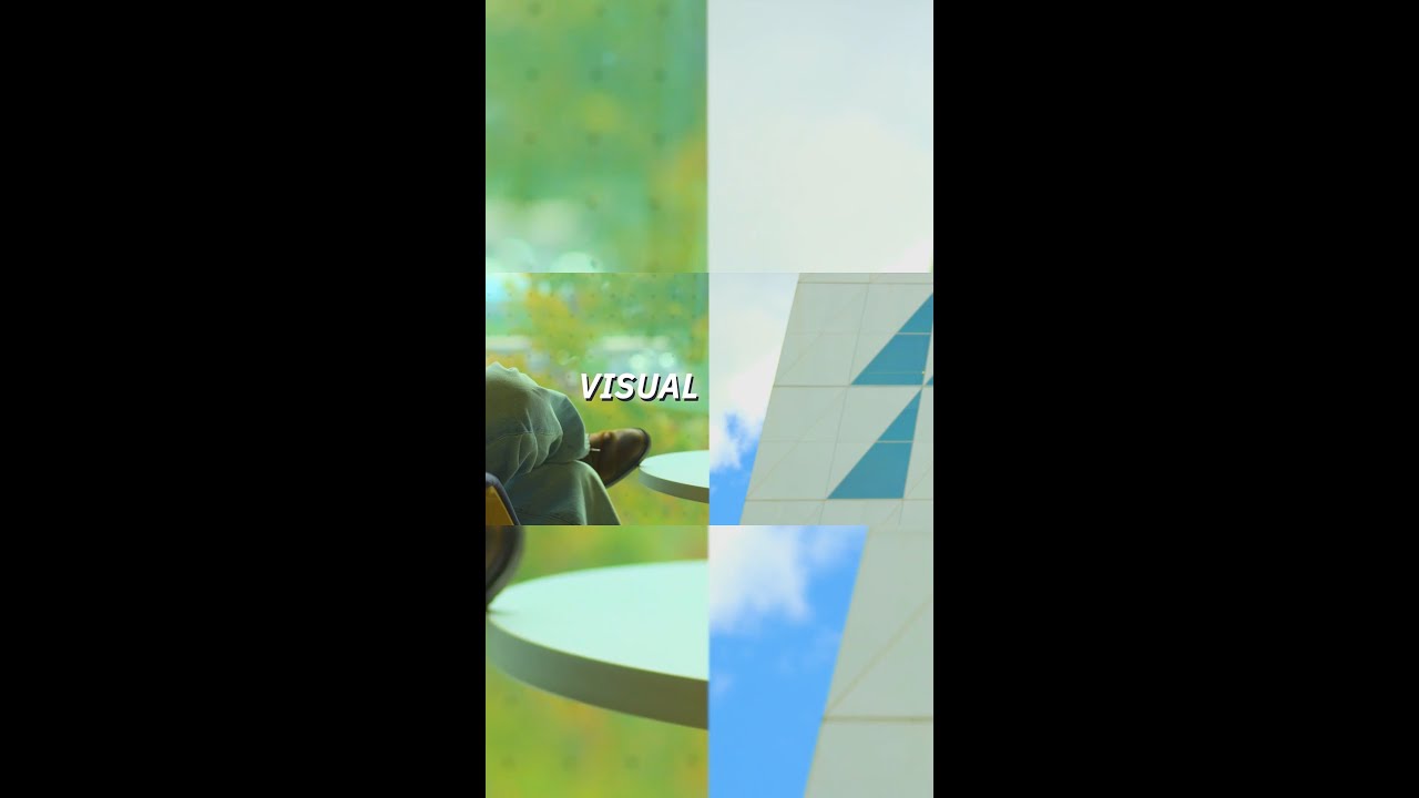 Visual Diaries 🍂📚 🏛️ 📖 