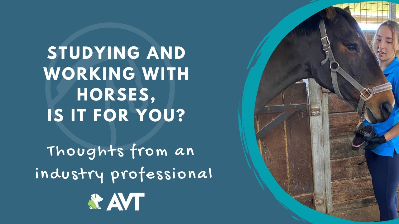 Is it for you? Studying and Working with Horses