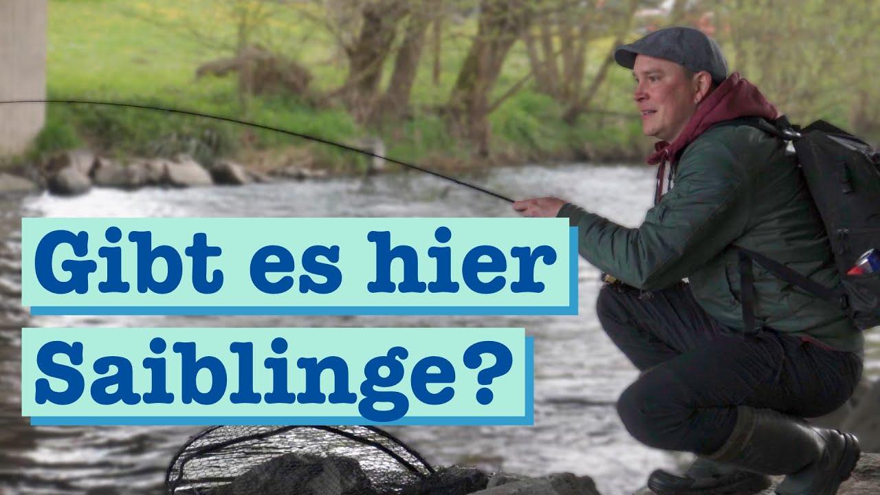 Gibt es hier Saiblinge?