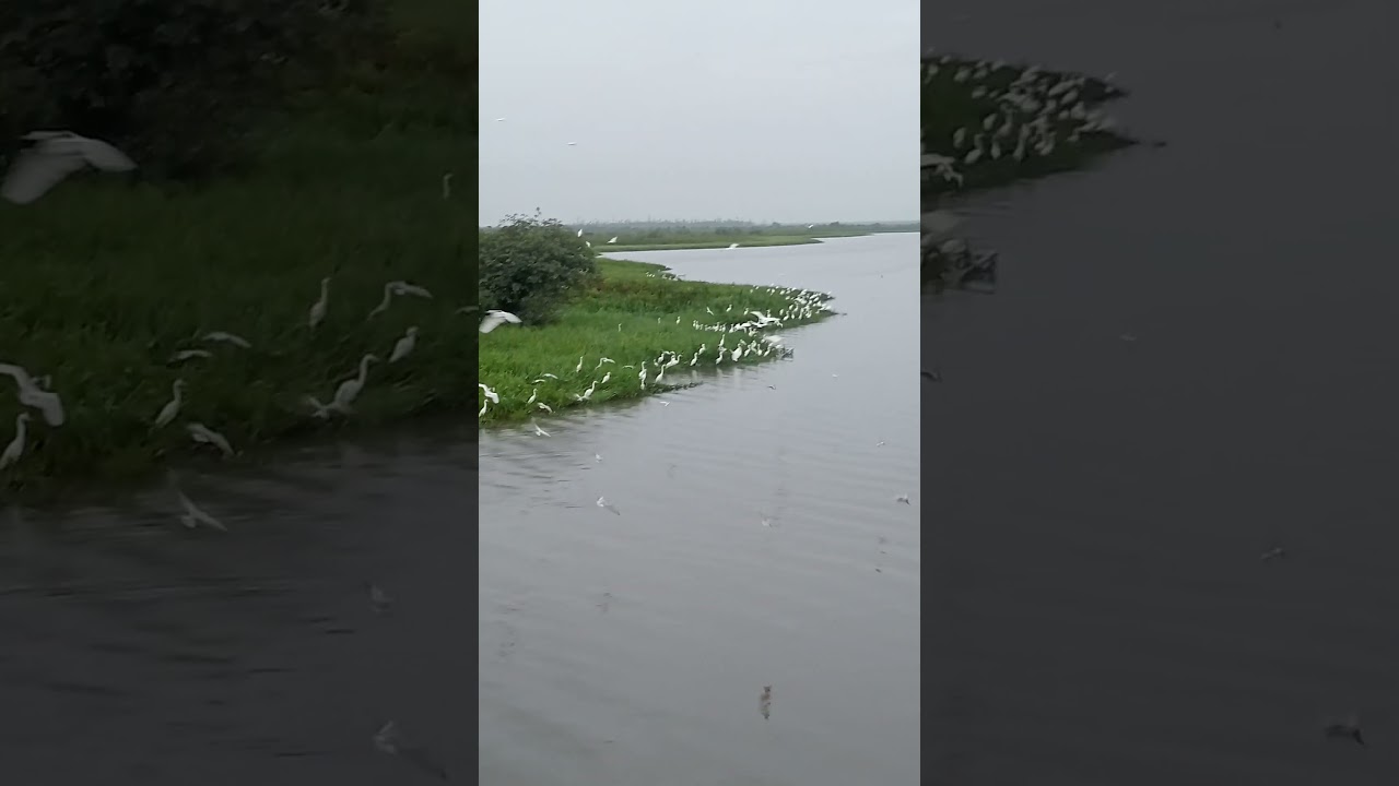 Danau napangga tanjung Medan Rokan hilir Riau