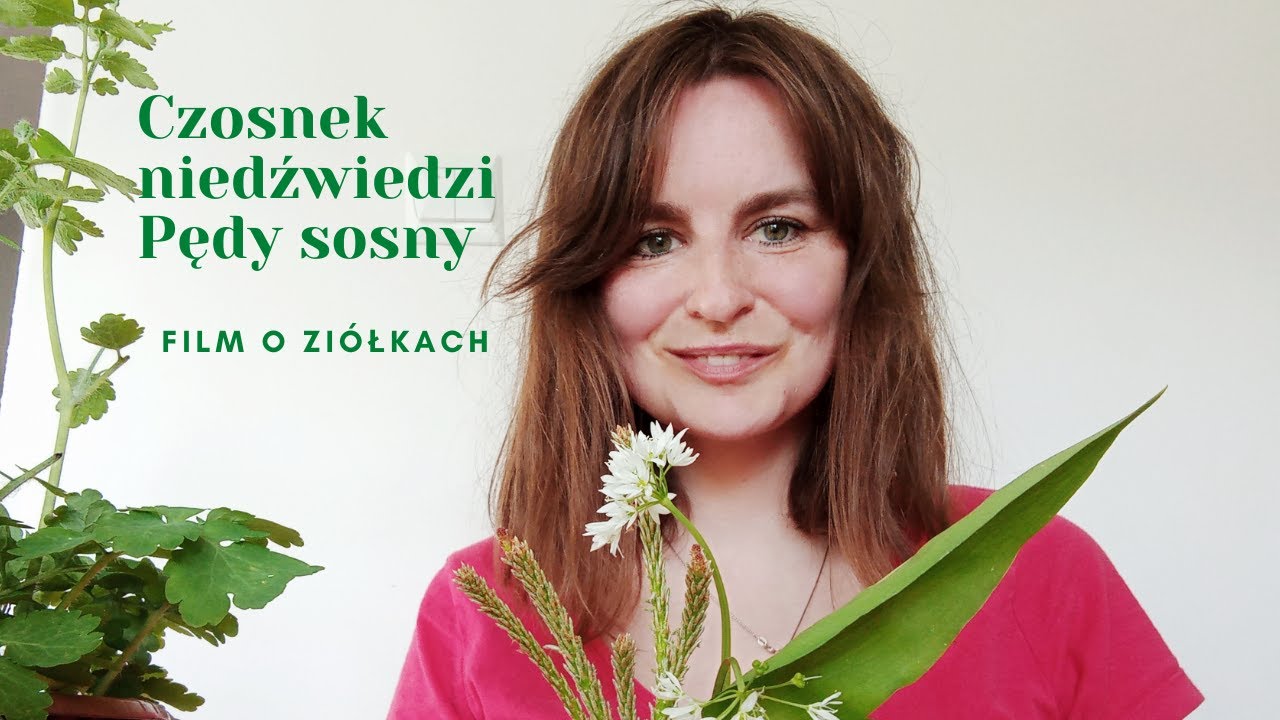 Film o ziółkach: czosnek niedźwiedzi | pędy sosny  | Perfumy Erato