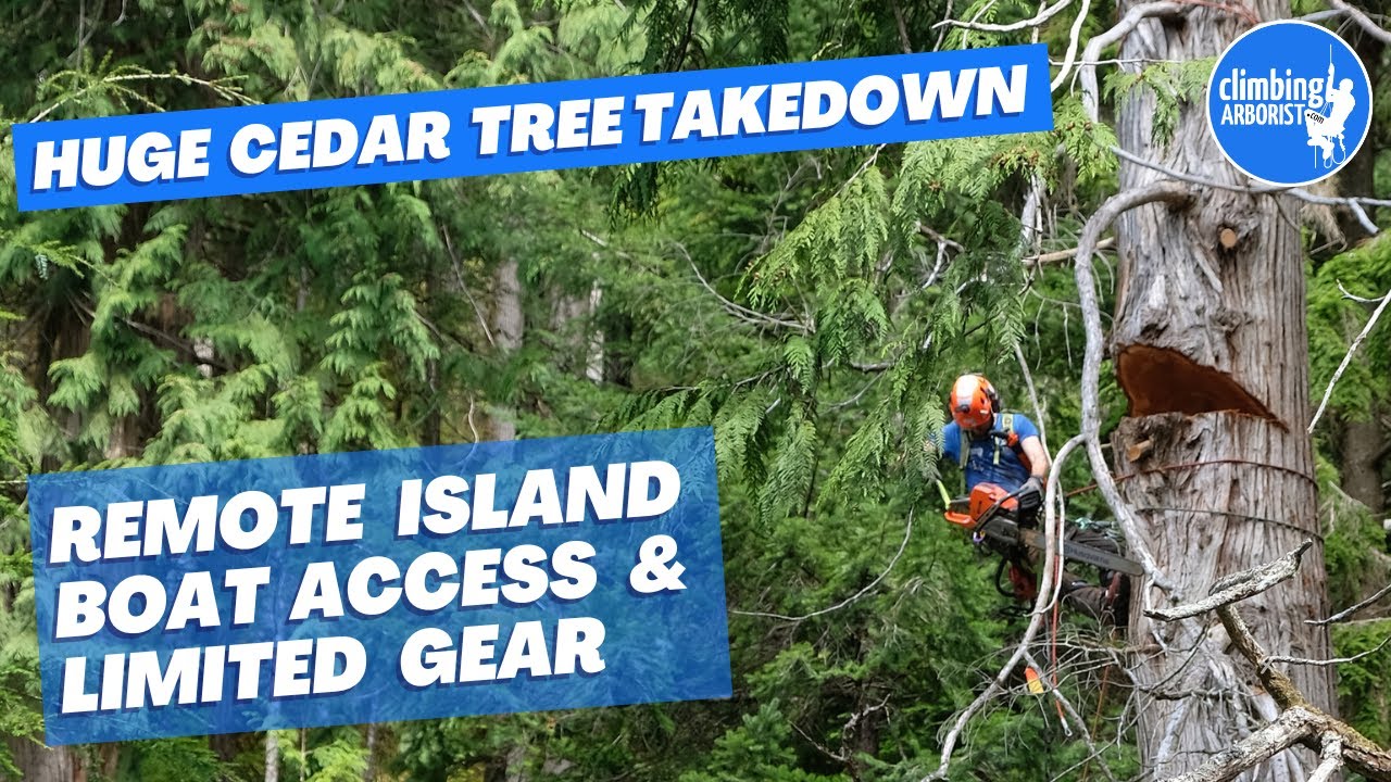 5ft diameter Cedar take down, Boat access only
