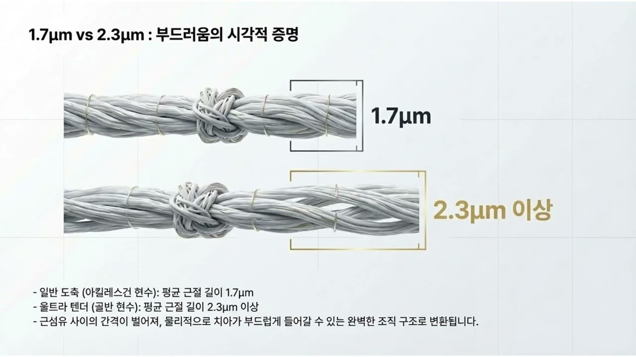초록섬의 약속4 1 2 울트라 텐더 과학이 설계한 육질의 상수와 연도의 혁명