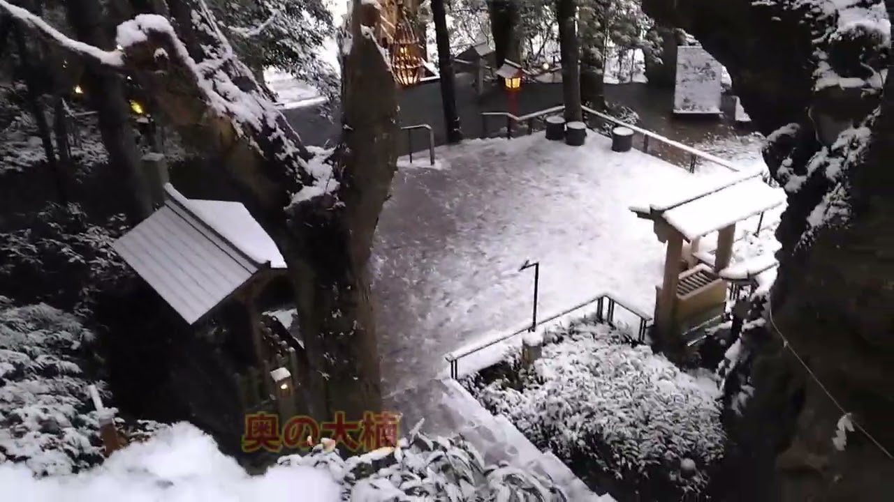 ２０２６．２．８　雪の熱海　大楠