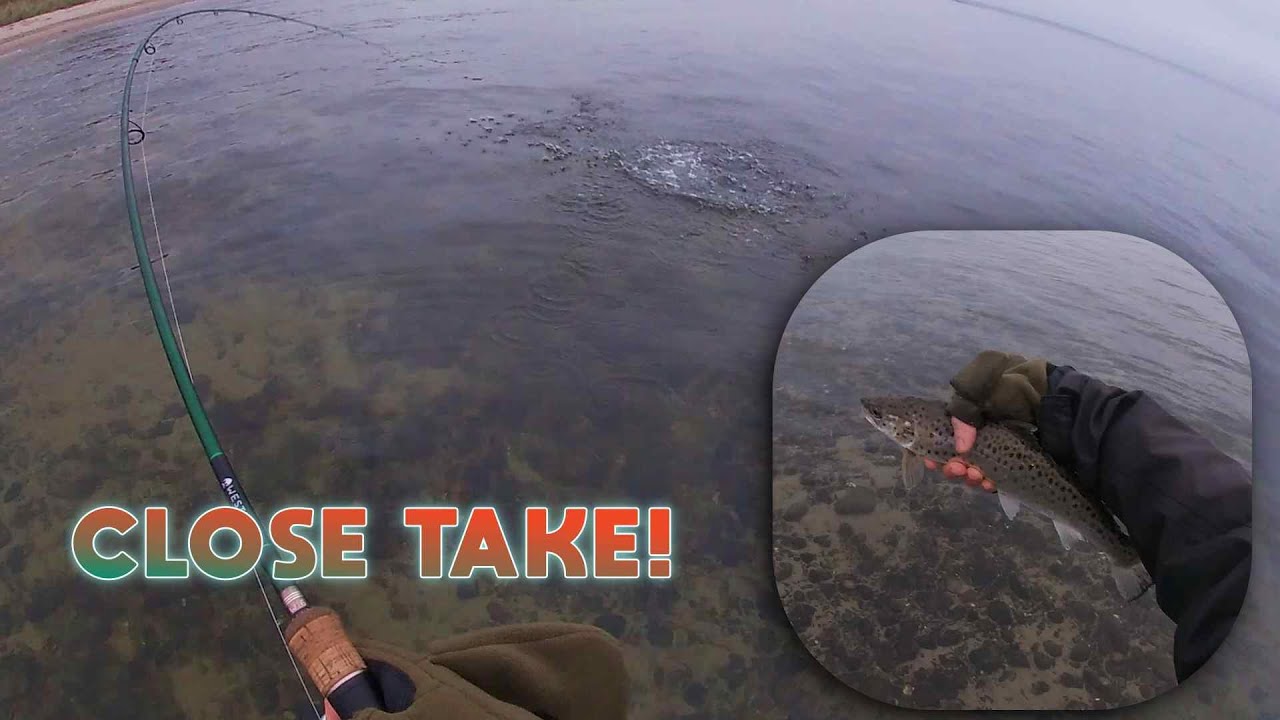 This is Best fishing day ever in Denmark | Coastal Sea Trout fishing
