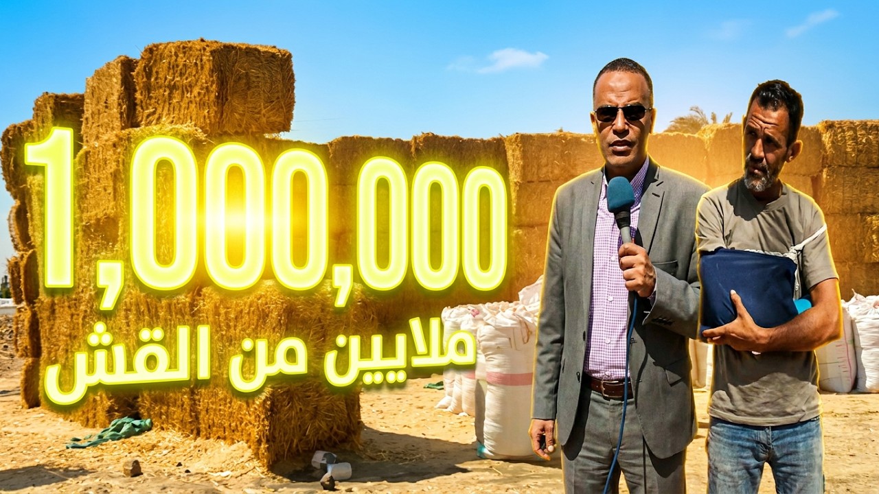فكرة مشروع مربح