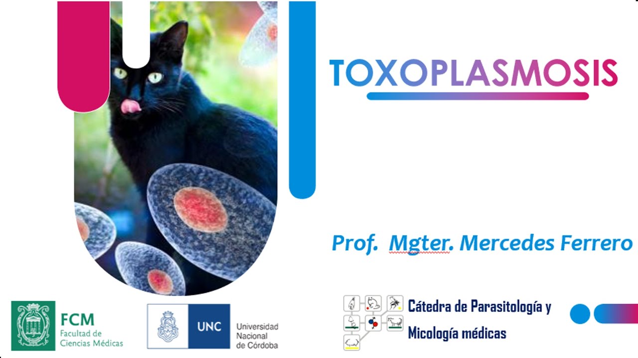 TOXOPLASMOSIS. Parte-1