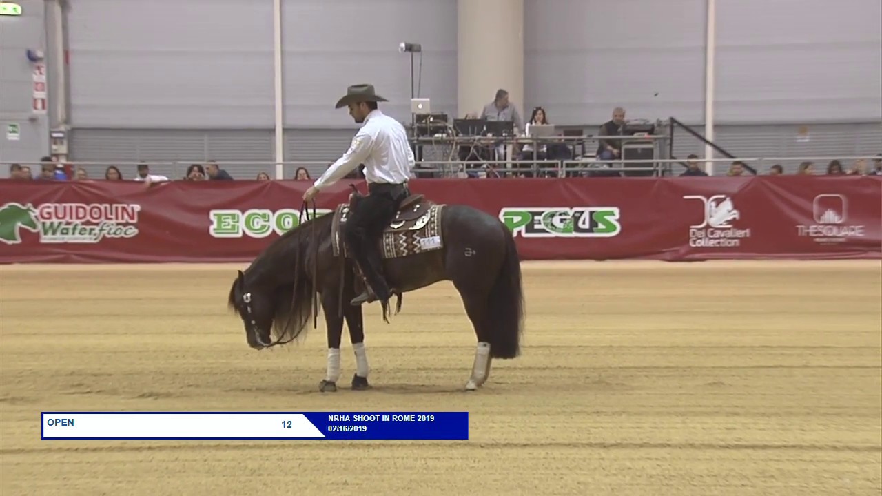 ARC A Step Above & Gennaro Lendi