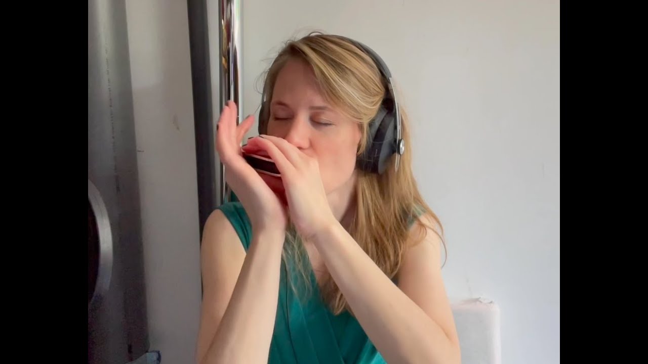 Help Me - Sonny Boy Williamson II (harmonica cover Seelien)