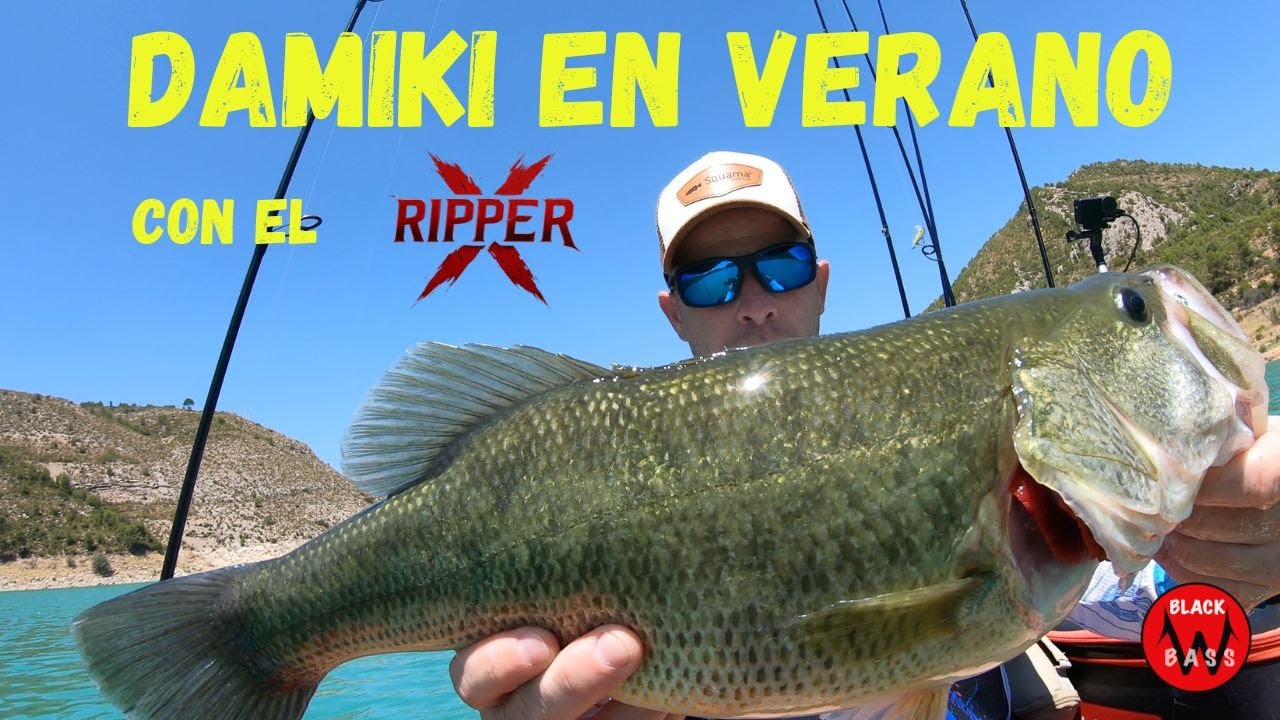 DAMIKI EN VERANO. PESCAMOS BLACK BASS A DAMIKI EN VERANO CON EL RIPPER X DE SQUAMA.