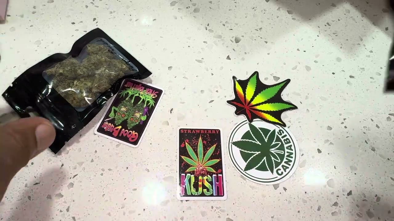 THCnoid Unboxing & First Impressions | Potent Perspectives Review: Purple Punch & Blue Dream