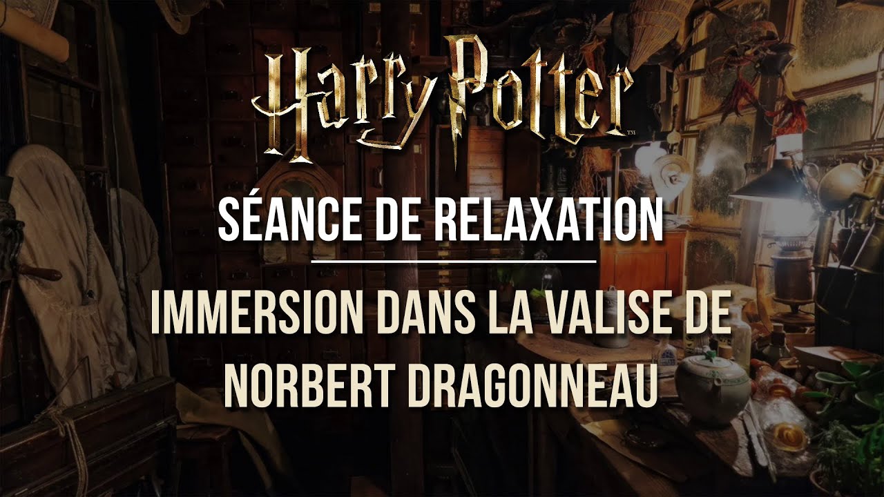 Séance de relaxation Harry Potter : Immersion dans la valise de Norbert Dragonneau