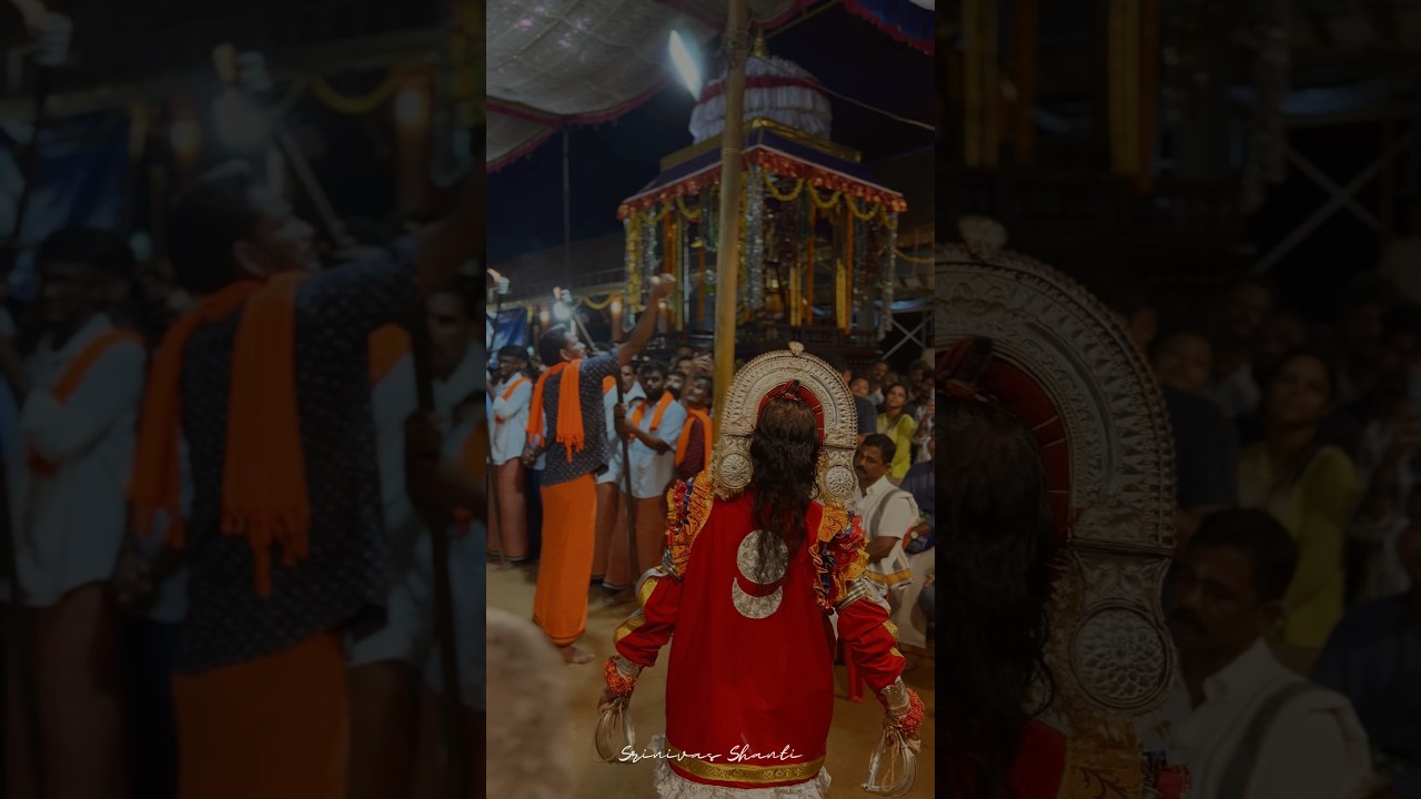 Tibar Nema 2024 | #shorts