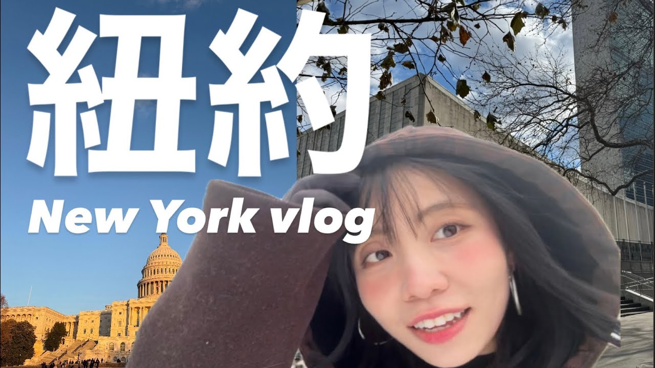 紐約VLOG❶🇺🇸華盛頓一日遊、時代廣場、聯合國、Broadway漢彌爾頓｜鄉巴佬第一次去紐約💩好冷又好多屎尿