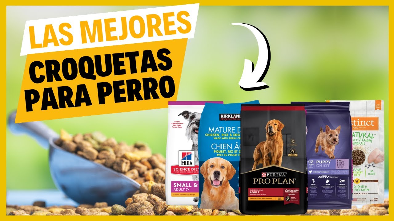 🏆 Las Mejores Croquetas para Perro en MÉXICO 2025 / Calidad - Precio