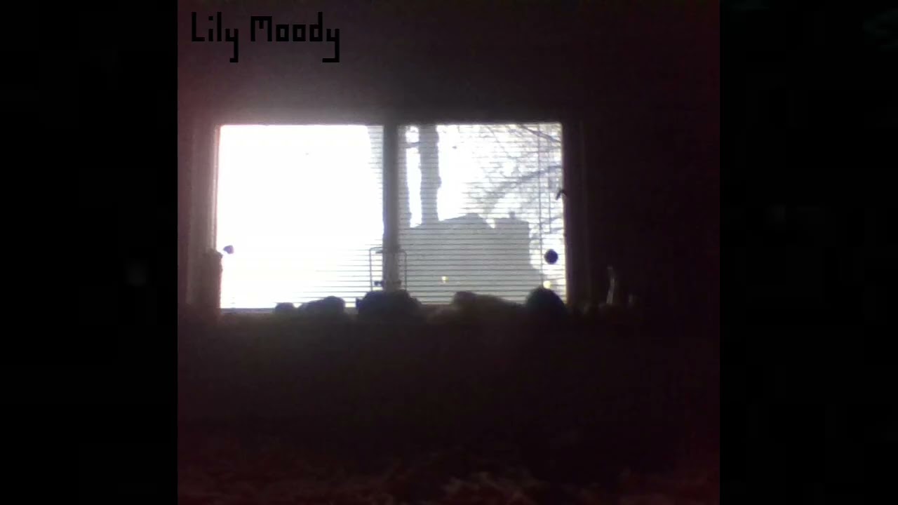 The Shelf
