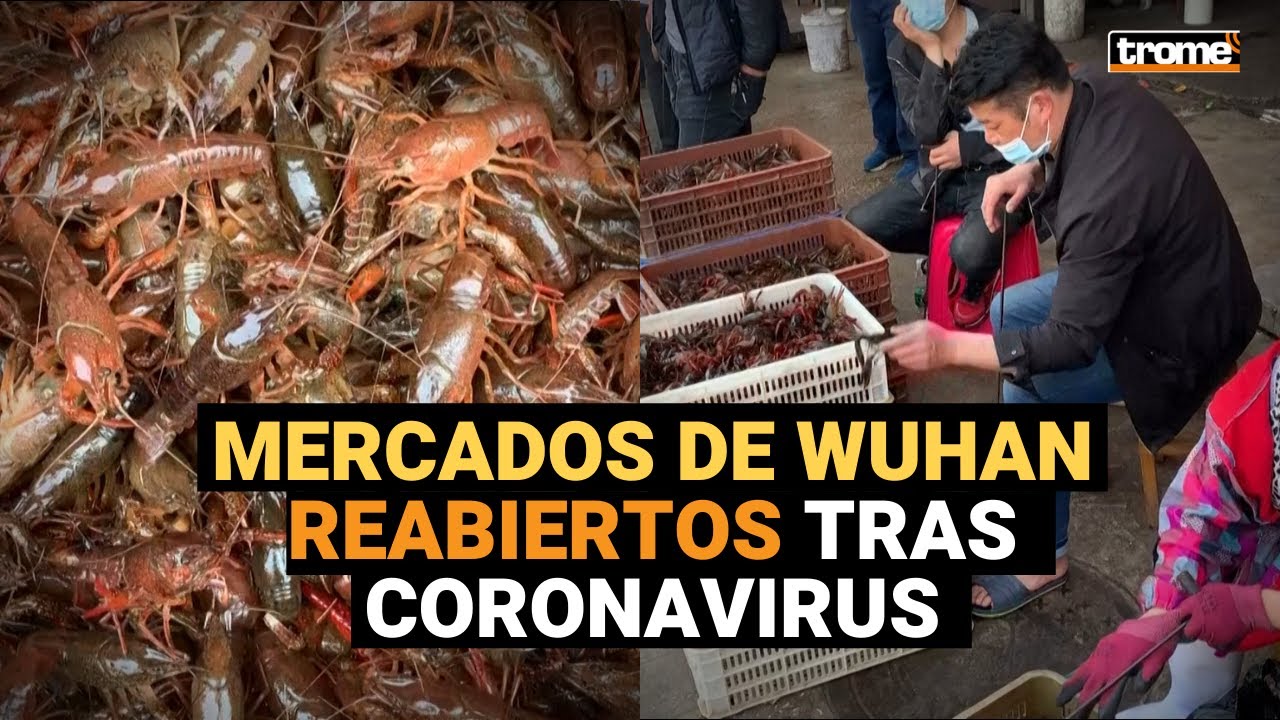 Así lucen los MERCADOS DE WUHAN tras su reapertura en China