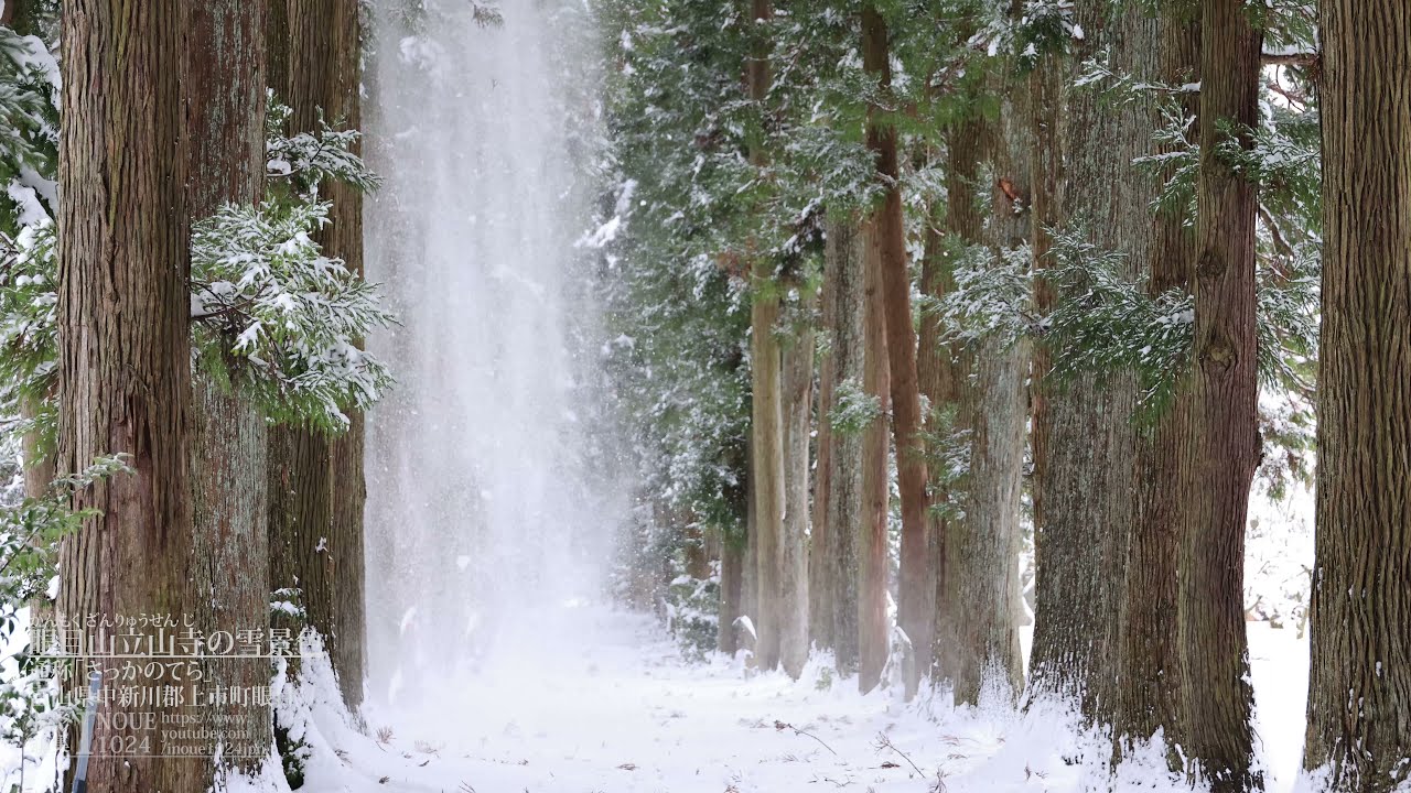 [富山]眼目山立山寺(通称「さっかのてら」)の雪景色[UHD8K顔声曲無] - Ganmokuzan Ryusenji Temple 