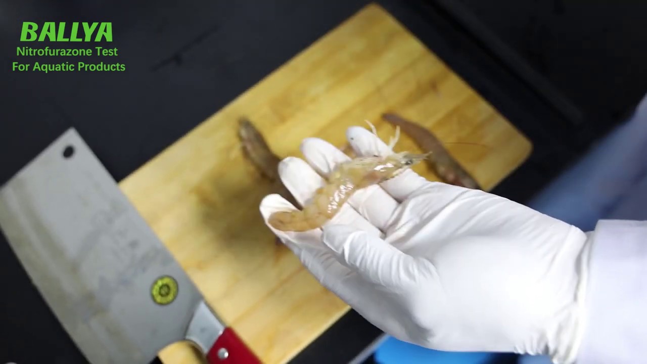 Shrimp Test: Nitrofurazone Test For Shrimp