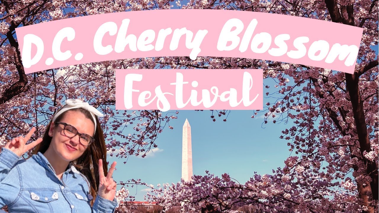 Seeing Washington D.C.'s Cherry Blossom Festival in Peak Bloom!