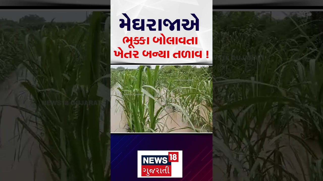 Bhavnagar Rain News: મેઘરાજાએ ભૂક્કા બોલાવતા ખેતર બન્યા તળાવ | Farmers | Weather Update | N18S