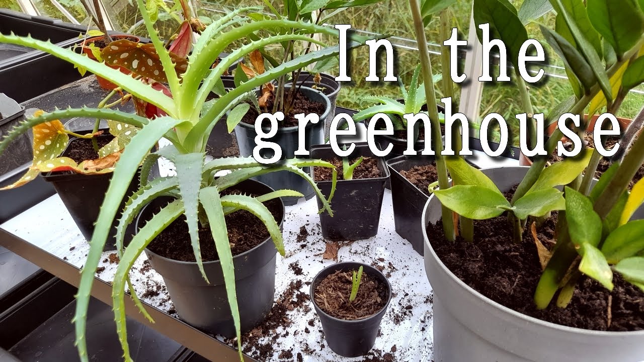 Retreat to the greenhouse | Slow living