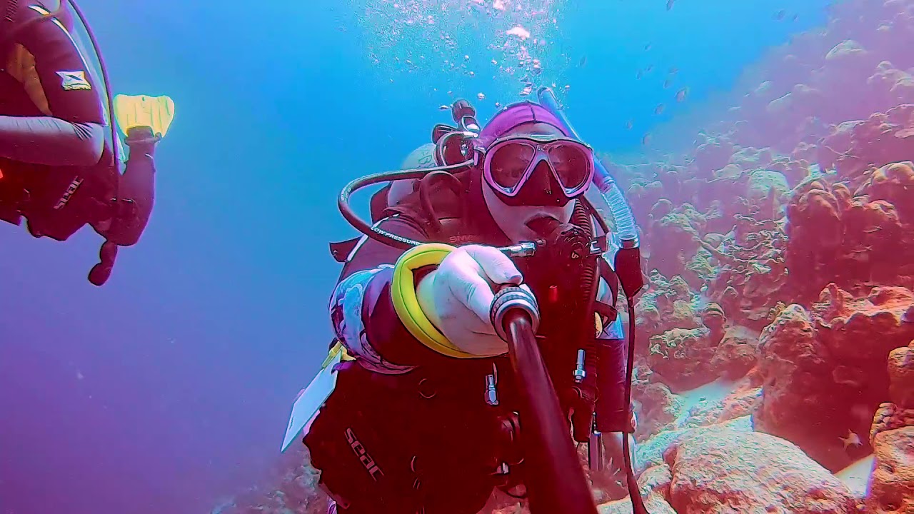 Bonaire 2019 - Windsock