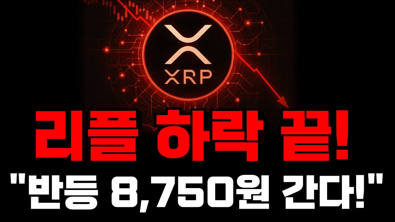 리플 긴급..;; CEO 작심발언 